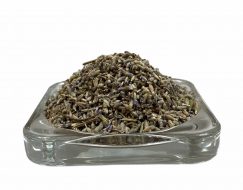 Lavendel Organic