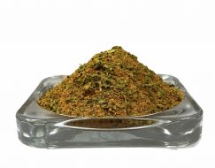 Chermoula Organic