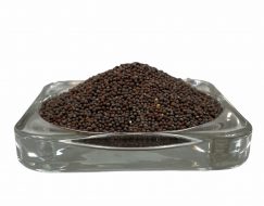 Senapsfrö brun Organic