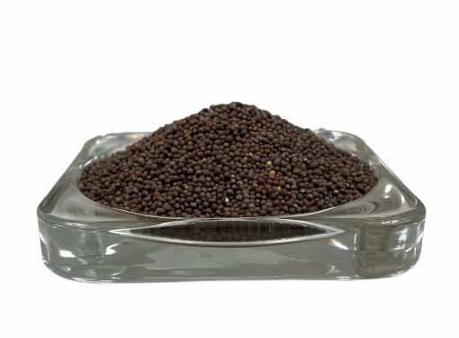 Senapsfrö brun Organic