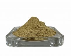 Ascophyllum pulver - Organic